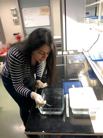 La science va-t-elle pouvoir rendre l'humain immortel