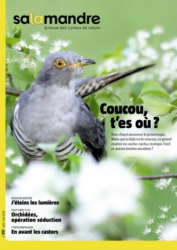 Couverture de La Salamandre n°251