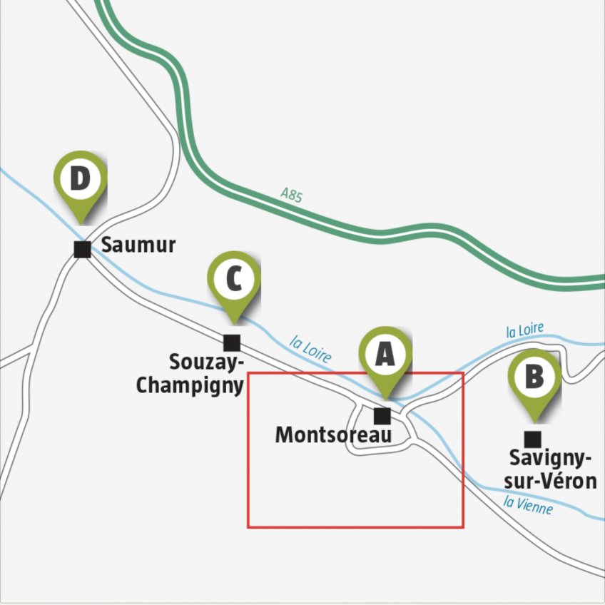 Val de Loire, des orchidées aux pieds des châteaux