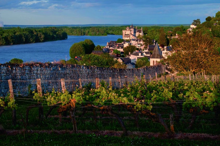 La nature en val de loire en Anjou et en Touraine