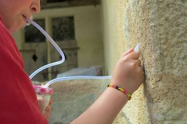 Entraînez-vous en aspirant des fourmis faciles à attraper.