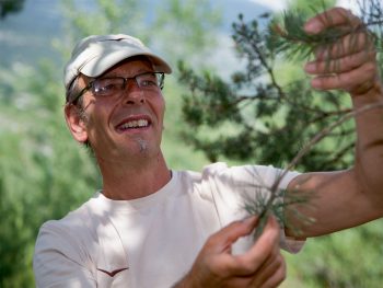 En compagnie d’Armin Christen,
éducateur à l’environnement Balade en Suisse, la grande traversée du bois de Finges