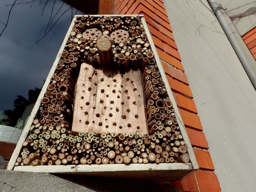 Un hôtel qui a du style Construisez un nichoir pour les abeilles sauvages