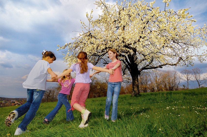 La Salamandre restaure un verger dans le Jura