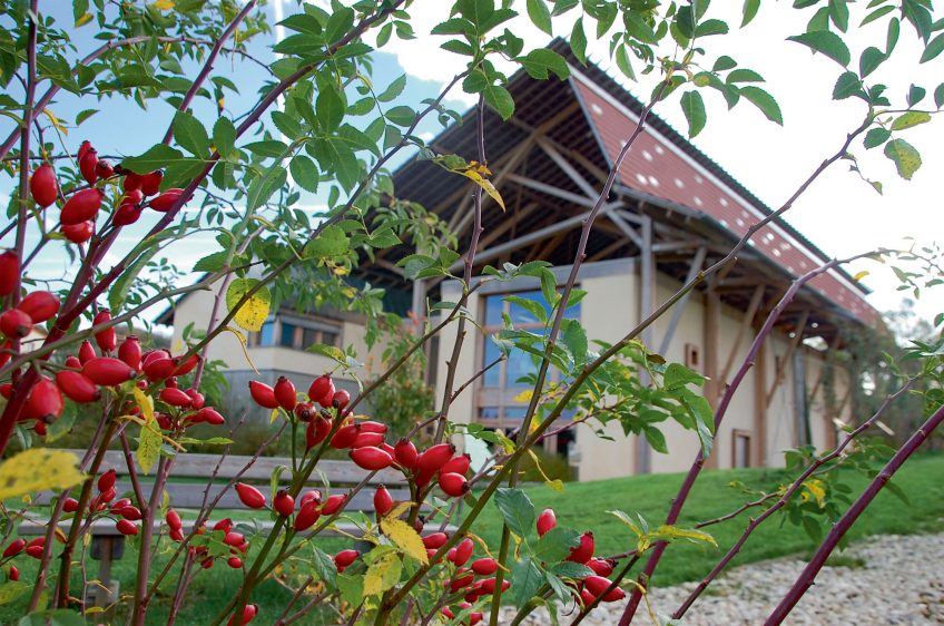 La Salamandre restaure un verger dans le Jura