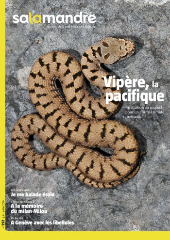 Couverture de La Salamandre n°252