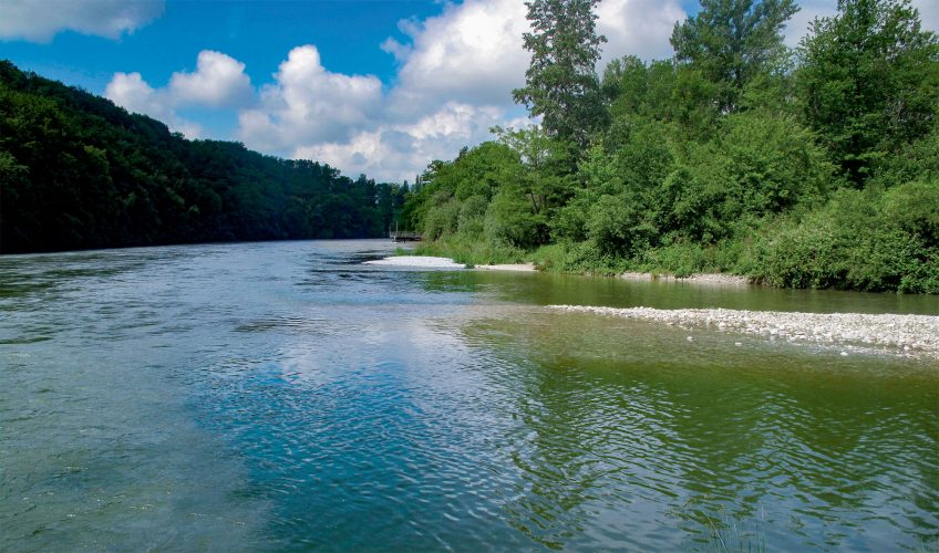 Testez une application de détermination des libellules suisses