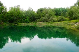 Outre les odonates, l’étang des Bouvières héberge de nombreux oiseaux comme le martin-pêcheur. / © Sébastien Poiret