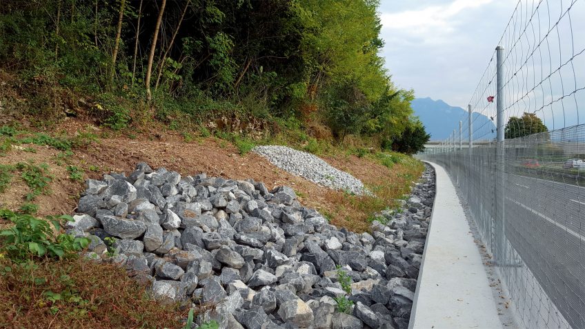 A Montreux, ils protègent les vipères d'un chantier routier