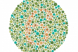 Vision normale : 6
Déficience rouge-vert : 5