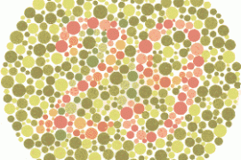 Vision normale : 29
Déficience rouge-vert : 70