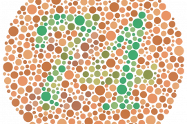 Vision normale : 74
Déficience rouge-vert : 21