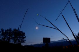 La femelle du vers luisant suspendue au dessus de la lune / © Florian Rochet