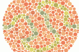 Vision normale : un tracé bleuâtre-vert et jaunâtre-vert.
Déficience rouge-vert : uniquement les segments bleuâtre-vert du tracé.