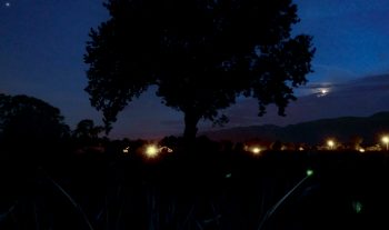 Pollution lumineuse en Pays de Gex