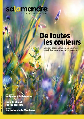 Couverture de La Salamandre n°253