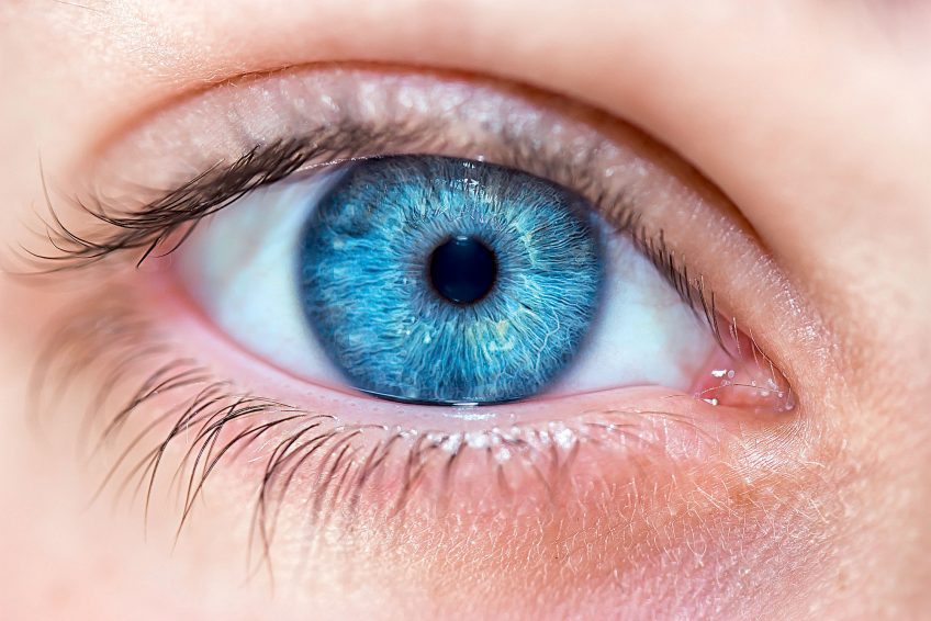 Le bleu, une couleur rare dans la nature