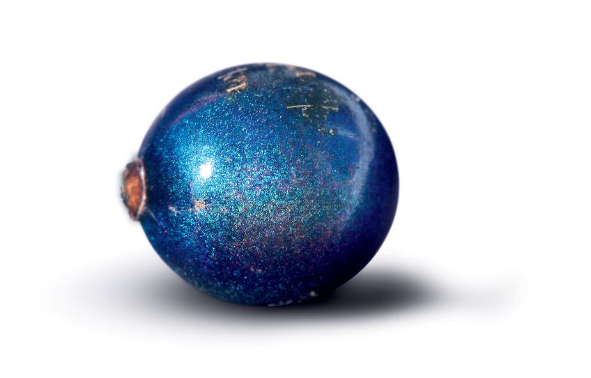 Le bleu, une couleur rare dans la nature