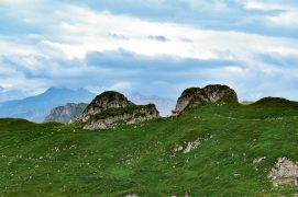 Cabanon du jardin botanique / © Loïc Jeanbourquin
