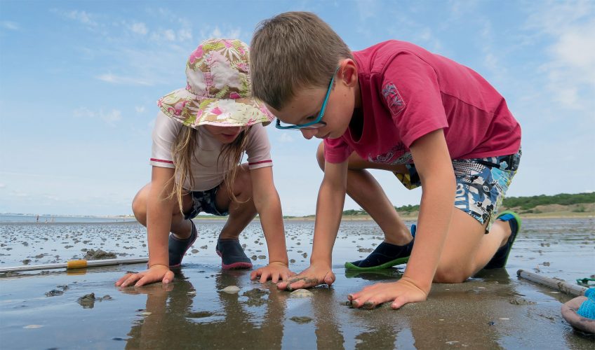 Vacances au bord de l'eau 4 conseils pour respecter la nature