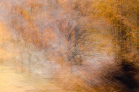 Le pont caché - Pyrénées centrales.  Le pont caché - Pyrénées centrales.  / © Carole Reboul