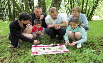 5 bonnes idees nature memory