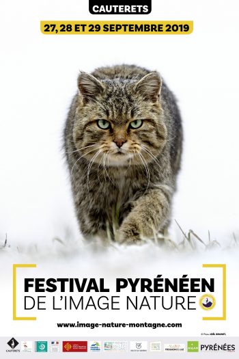 Affiche festival image nature en Pyrénées