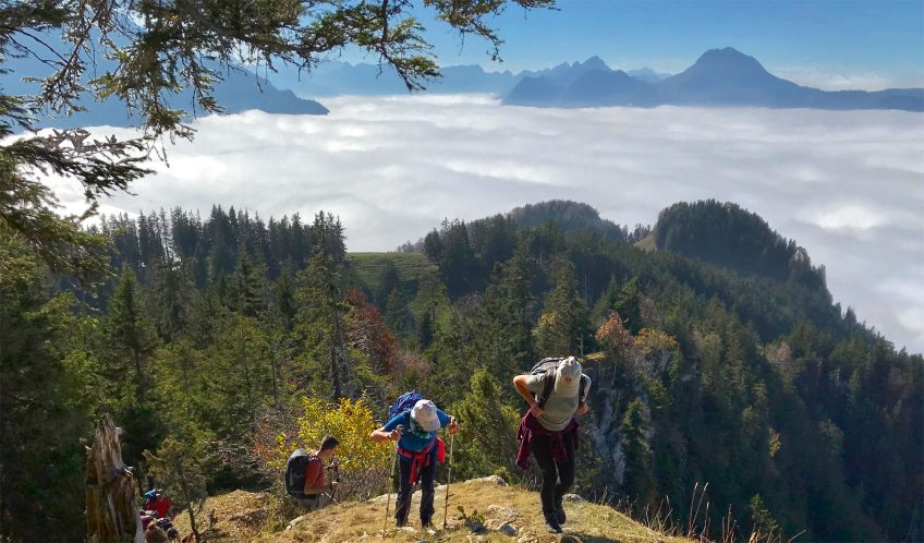 Parcourez les crêtes de la Berra à la recherche du chamois