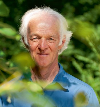 La transition écologique passe par la préservation des forêts