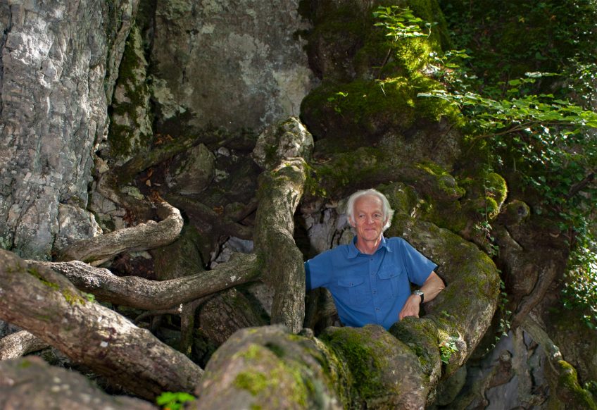 La transition écologique passe par la préservation des forêts