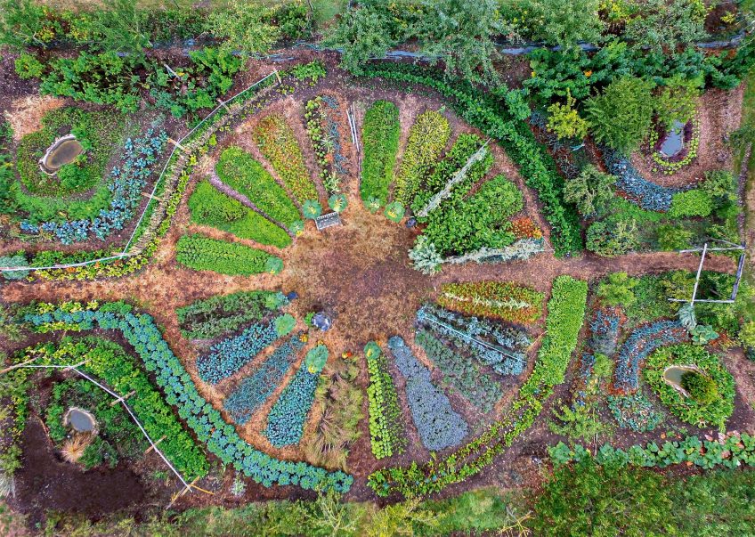 Les champignons peuvent être des alliés des jardiniers