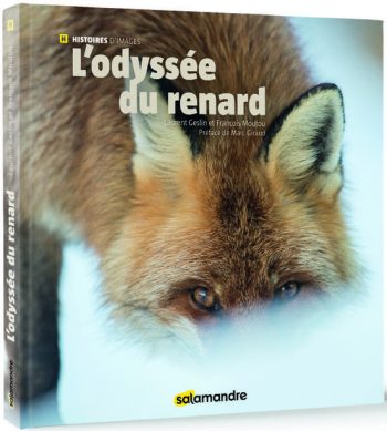renard