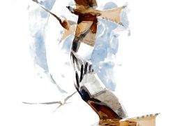 Milans royaux / © Nick Derry