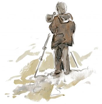 Migration d'automne, observez le grand défilé des oiseaux