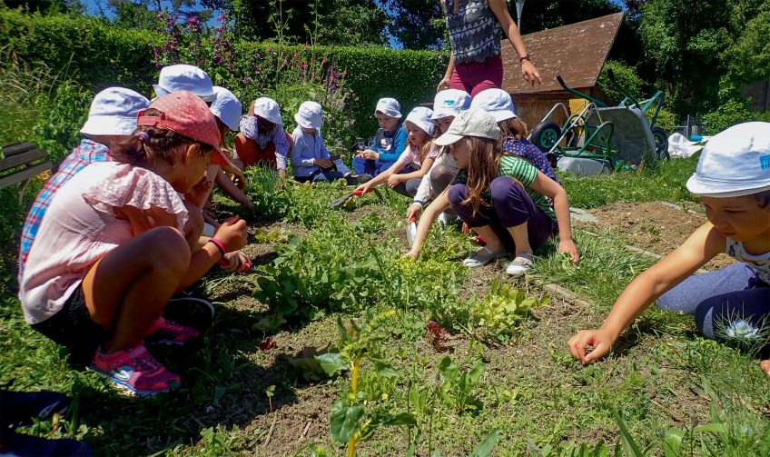 En Suisse, les élèves vont au potager pour se reconnecter à la nature