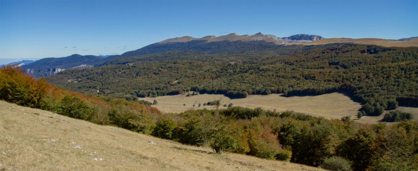 L’immense plateau du Vercors A la recherche du cerf élaphe dans le plateau du Vercors