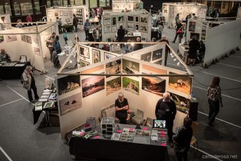 Galerie des artistes