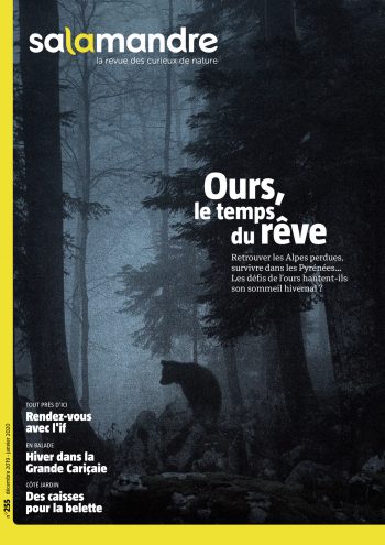 Couverture de La Salamandre n°255