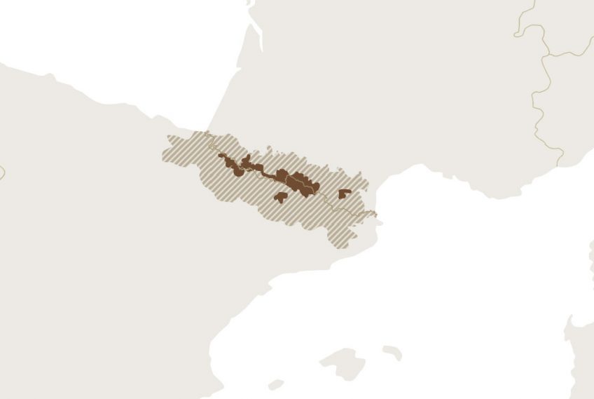 Carte de la répartition de l'ours dans les Pyrénées en 2019