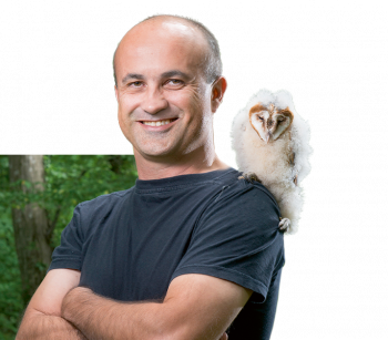 Alexandre Roulin
Professeur au Département d’écologie et évolution de l’Université de Lausanne.