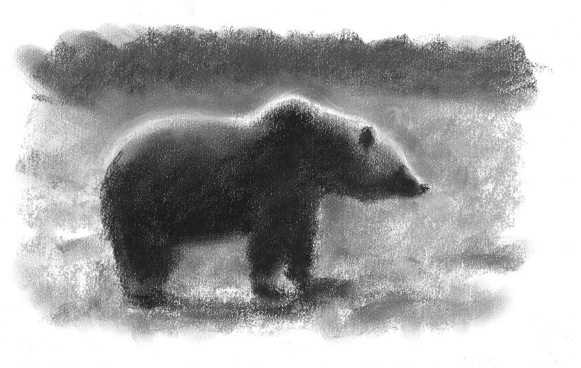 Le peintre Jean Chevallier dévoile ses rencontres avec l'ours