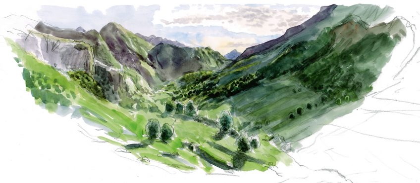 Sorita et Claverina, deux ours pour repeupler les Pyrénées