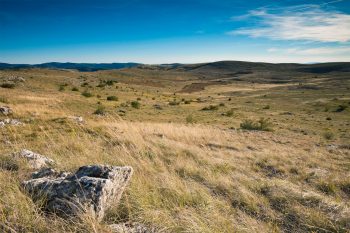 Le Causse Méjean, également appelé Causse nu.