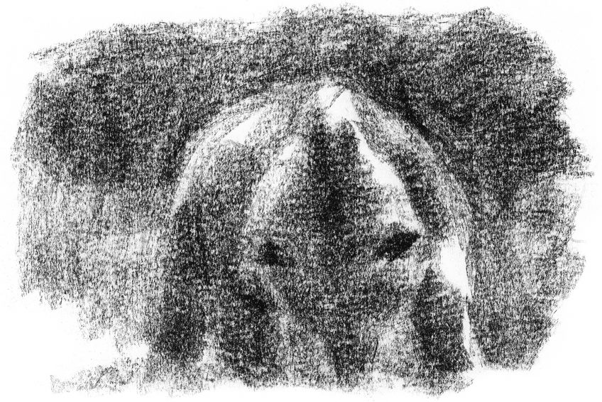 Le peintre Jean Chevallier dévoile ses rencontres avec l'ours