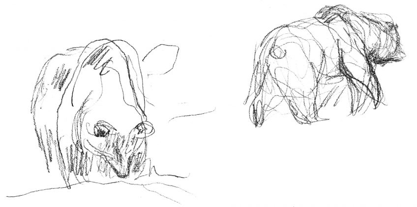 Le peintre Jean Chevallier dévoile ses rencontres avec l'ours