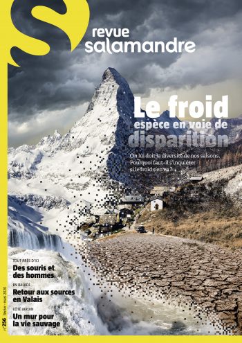 Couverture de La Salamandre n°256