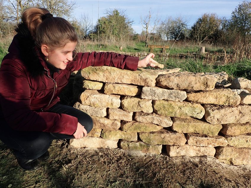 Un mur pour la vie sauvage