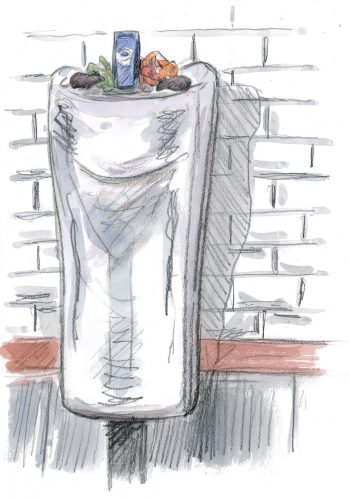 Pourquoi les souris vivent-elles si près de l'homme ?