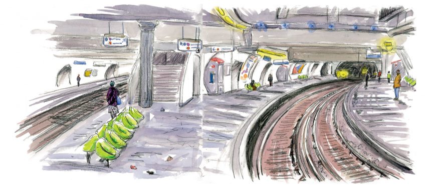 Pourquoi les souris vivent-elles si près de l'homme ?