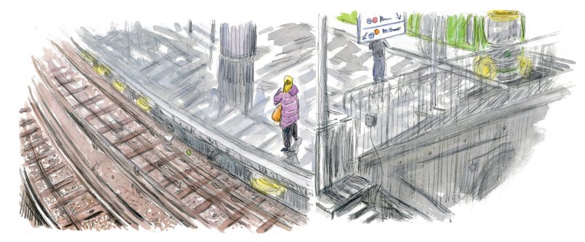 Pourquoi les souris vivent-elles si près de l'homme ?